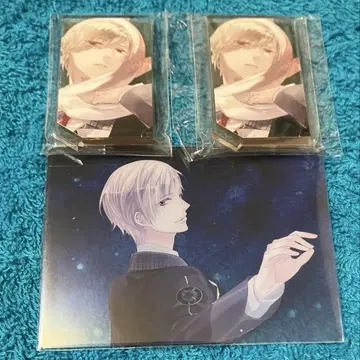 Starry Sky 사계절