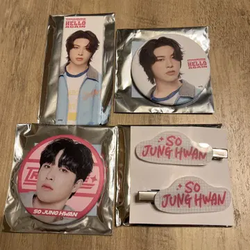 treasure 정환 캔뱃지 헤어 클립