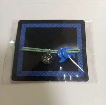 카이가쿠의 구옥 팔찌 귀멸의 칼날