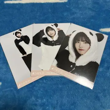노기자카46 생사진 나카니시 아루노 2024 march 애니멀 룸웨어