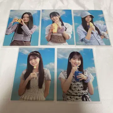노기자카46 NOGI CAFE 노기 카페 트레이딩 카드 5장 세트