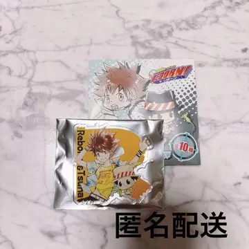 아크릴 배지 가정교사 히트맨 REBORN! 사와다 츠나요시 츠나 리본