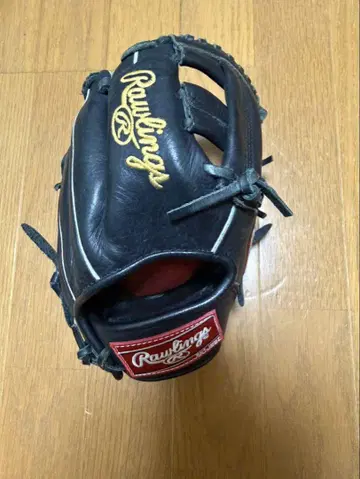 Rawlings 트레이닝 그로브