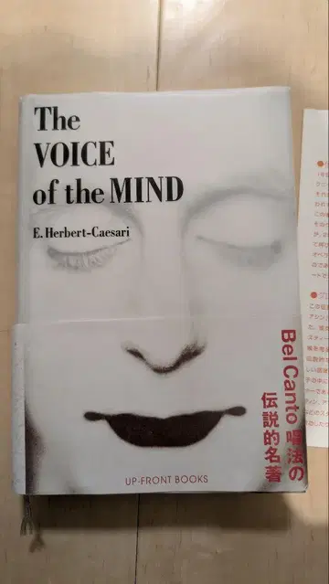 더 보이스 오브 더 마인드 체사리 the voice of the mind