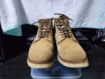 반원 개 택 RED WING 8167 US9