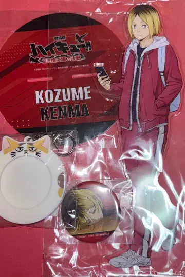 하이큐 쓰레기장의 결전 빅 아크릴 스탠드 코즈메 켄마