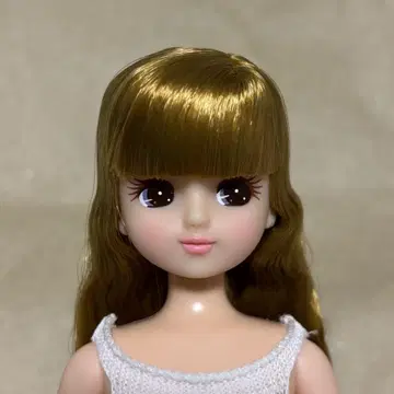 리카짱 2019년 베이직 모델 작은 가게 리카짱 캐슬