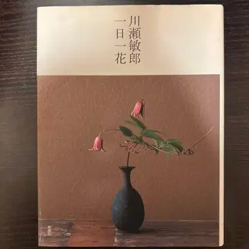 카와세 토시로 하루에 꽃 한 송이