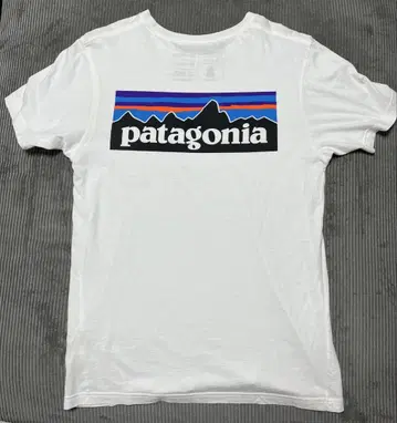 patagonia 오가닉 코튼 T셔츠 S