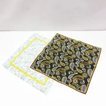 TIEYOURTIE 포켓 치프 손수건 페이즐리 나비 2장
