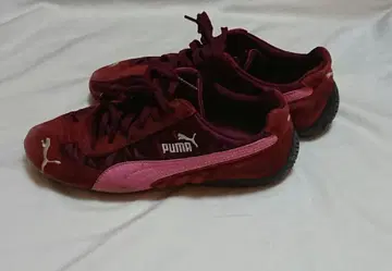 PUMA Speed cat 스피드캣 빨간색 레드 25cm
