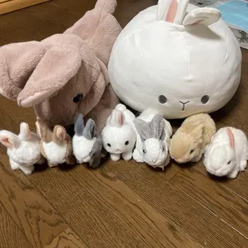 토끼 봉제 인형 묶음 판매