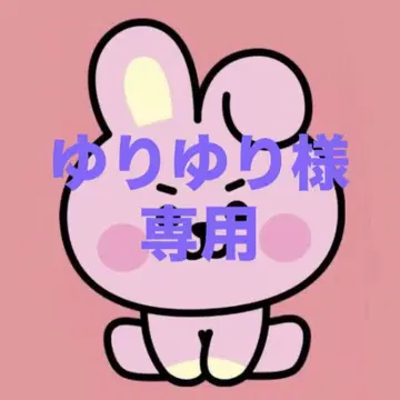 BT21 BABY 비엔돌 COOKY