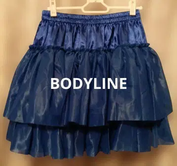 BODYLINE 튤 플레어 스커트