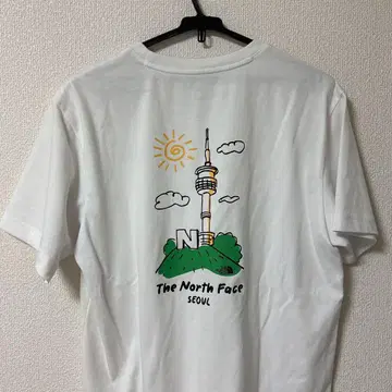 THE NORTH FACE 한국 한정판 디자인