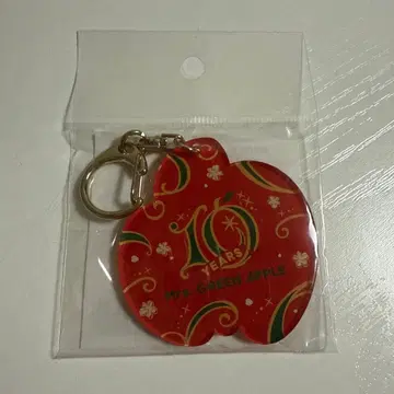 MAGICAL 10 YEARS LANDMARK 회장별 아크릴 키링