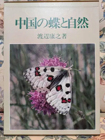중국의 나비와 자연