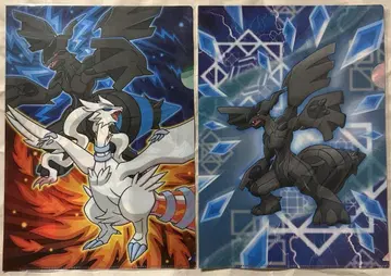 포켓몬 레시람&제크로무 클리어 파일