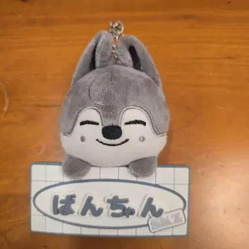 스키즈 skzoo 울프찬 네임 백참