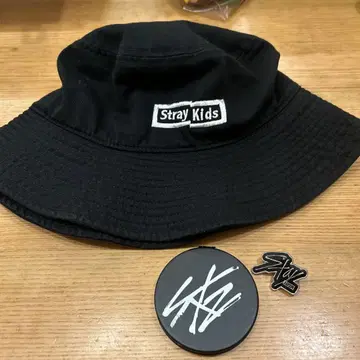 straykids 스키즈 팬클럽