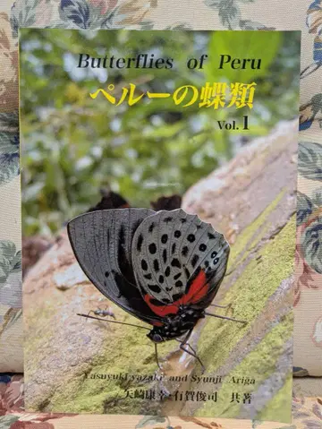 Butterflies of Peru 페루의 나비류 Vol. 1