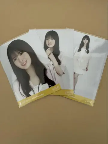 노기자카46 도쿄 진구 전국 투어 브로마이드 오가와 아야 썸머 자켓 컴프
