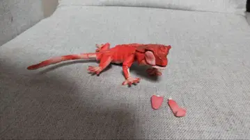 생물대도감 어드밴스 크레스티드 게코 01 레드