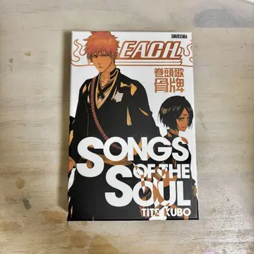 BLEACH: SONGS OF THE SOUL 뼈대 카르타