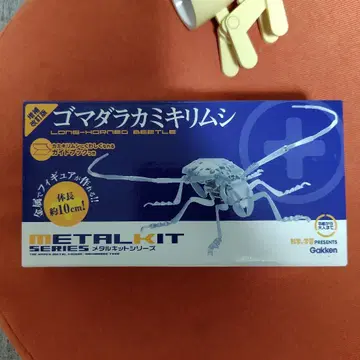 학연 메탈 키트 점박이하늘소 증보개정판 Q750431
