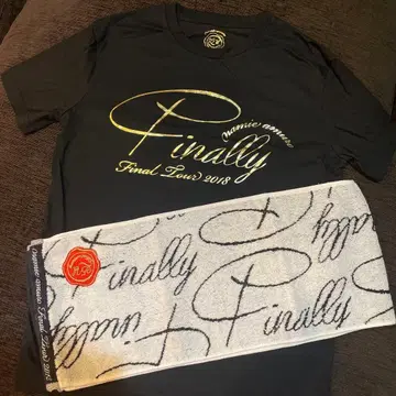 아무로 나미에 라이브 t셔츠&타월 final tour 2018