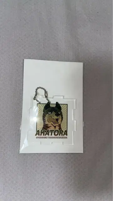 은아 별똥별 은 카와셀 복권 D상 아크릴 키링 (퍼즐형) AKATORA