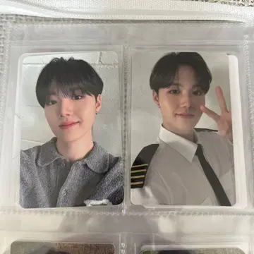 트레저 도영