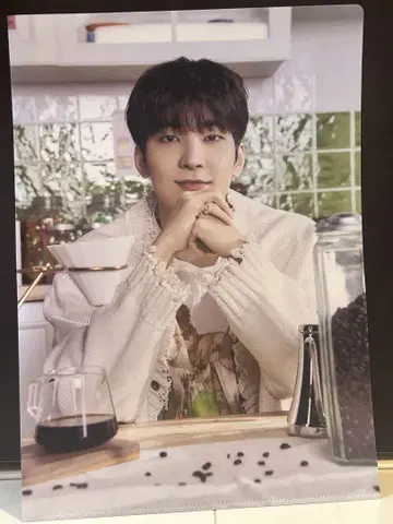 K-POP seventeen 세부치 클리어 파일 원우