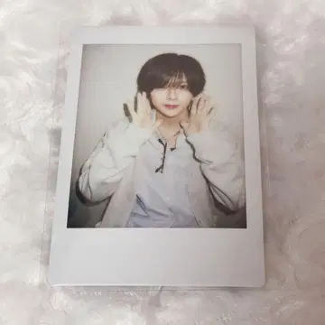 러브시크 사쿠라 핑 폴라로이드