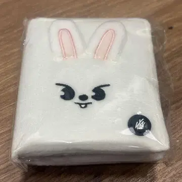 straykids 리노 사진 카드 케이스