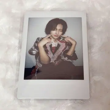 러브시크 사쿠라 핑 폴라로이드
