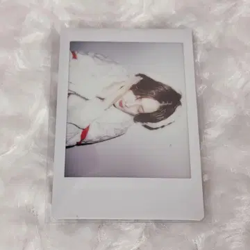 러브시크 사쿠라 핑 폴라로이드