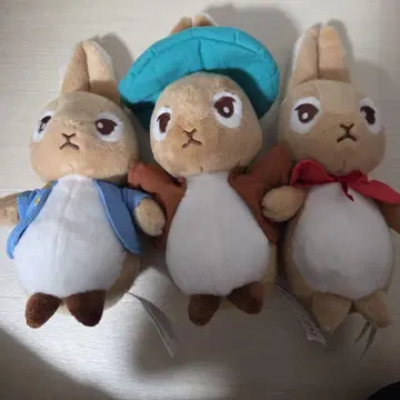 피터 래빗 봉제 인형 3개 세트