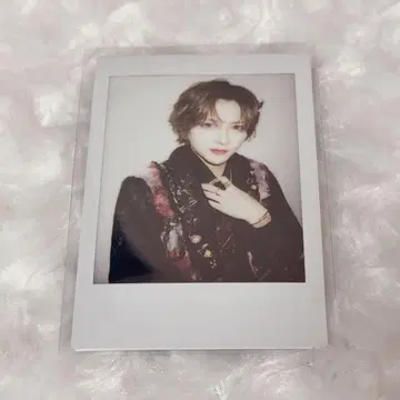 러브시크 사쿠라 핑 폴라로이드