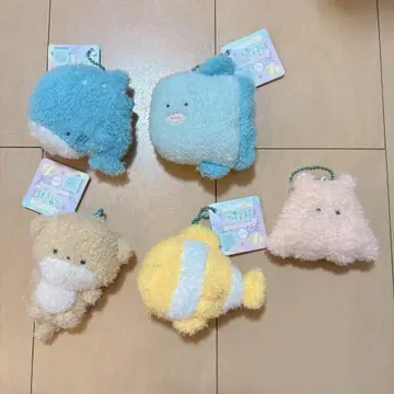 동글동글 눈 수족관 mocomoco 세트