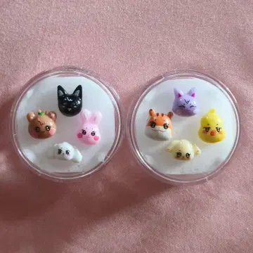 Ateez Aniteez 귀걸이 8개 세트