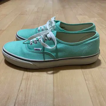 vans authentic turquoise Blue 81/2