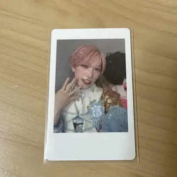 팬더 드래곤 타이거 네기 혼합 하피카