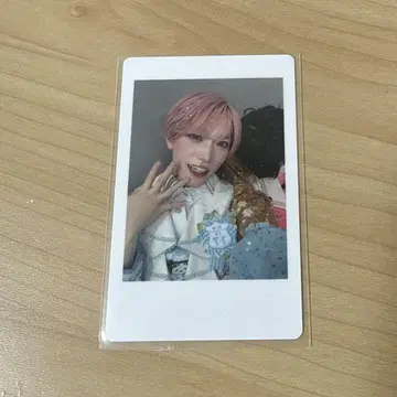 팬더 드래곤 타이거 나기 혼합 하피카