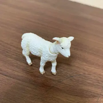 아니아/화이트 양 피규어