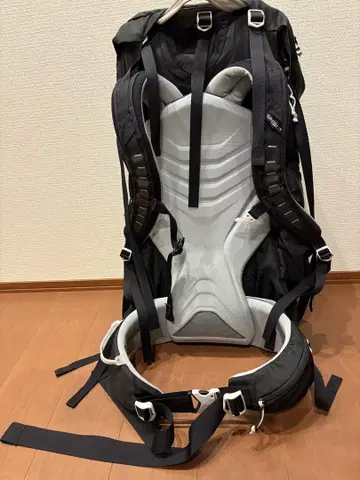GREGORY 원정용 백팩