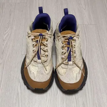 Reebok Zig Kinetica 2.5 Edge (초크) 24cm