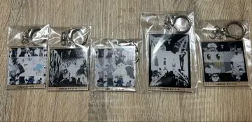 헌터헌터 아크릴 키링 5개 세트