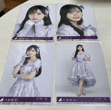 카와사키 벚꽃 컴프