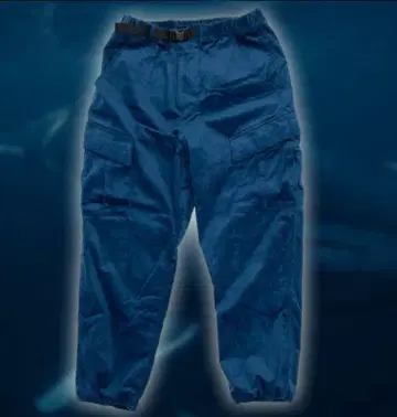 새상품 STABRIDGE CORDUROY BUYER PANTS WHALE